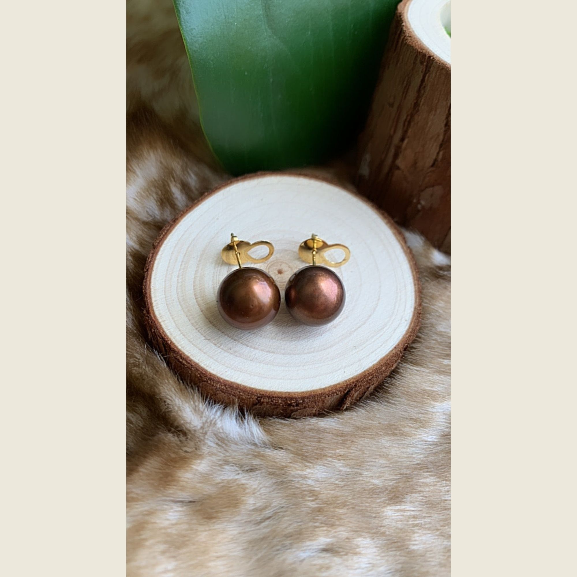Chocolate South Sea Pearl Stud Earrings